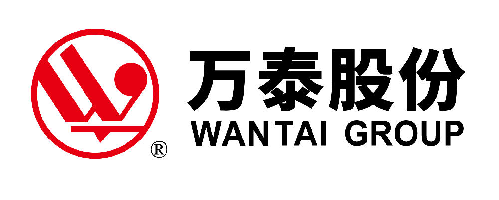 淮南万泰电子股份有限公司